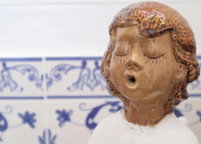 Pensao Jose Hortas Kwatera prywatna Costa Nova